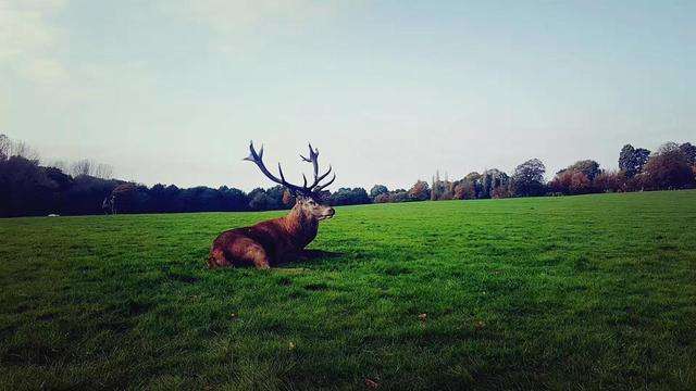 ȥ������W(xu��)���W(xu��)�v����ՈҪ������Щ