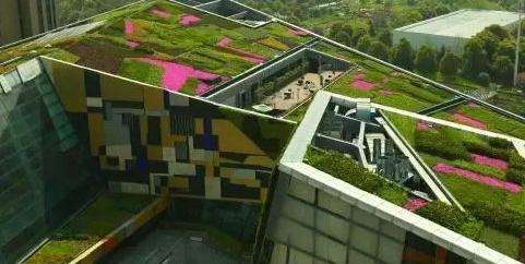 �W(xu��)��(x��)�@���O(sh��)Ӌ�M����픾G������ЩҪ��