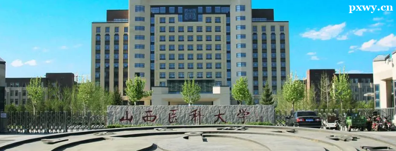 ���t(y��)�W���п��Կ�ʲô��W