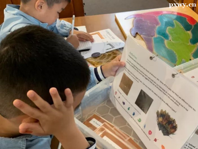 ��ʲôҪ�W(xu��)С�и�