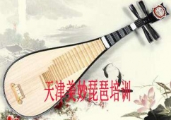 天津琵琶培訓(xùn)班