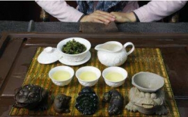 廣州茶藝師培訓(xùn)