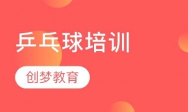 乒乓球培訓(xùn)