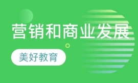 營(yíng)銷(xiāo)和商業(yè)發(fā)展