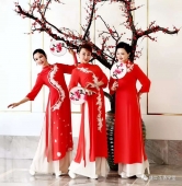 石家莊風(fēng)尚教育成人旗袍模特培訓(xùn)