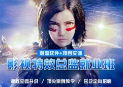 武漢影視特效總監(jiān)就業(yè)培訓(xùn)班