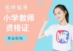 石家莊小學(xué)教師資格證