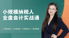 合肥小規(guī)模納稅人全盤會(huì)計(jì)實(shí)戰(zhàn)通