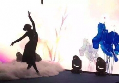 六盤(pán)水成品舞教練培訓(xùn)班