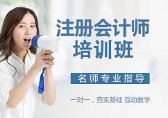 天津注冊(cè)會(huì)計(jì)師課程培訓(xùn)班