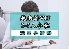 成都越南語VIP一對(duì)多培訓(xùn)班