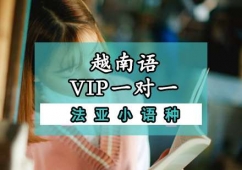 成都越南語VIP一對(duì)一培訓(xùn)班