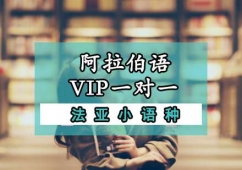成都阿拉伯語VIP一對(duì)一培訓(xùn)班