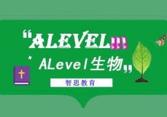 ɶALevelӖn