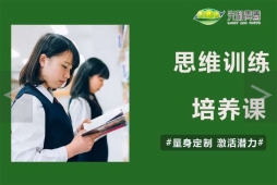 思維訓(xùn)練培養(yǎng)課