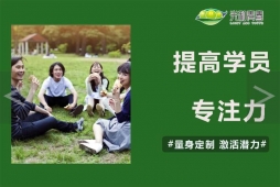 提高專注力培訓(xùn)課