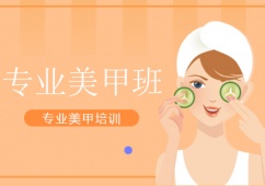 成都專(zhuān)業(yè)美甲培訓(xùn)班
