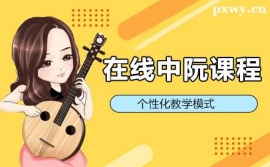 上海在線中阮培訓(xùn)課程