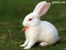 小說(shuō)演播輔導(dǎo)有聲配音