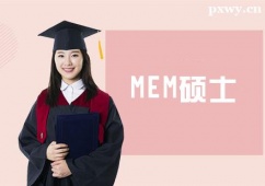 天津MEM碩士培訓(xùn)班