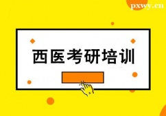 煙臺(tái)西醫(yī)考研培訓(xùn)班