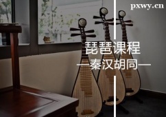 蘇州琵琶培訓(xùn)課程