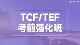 溫州TCF/TEF考前強(qiáng)化班