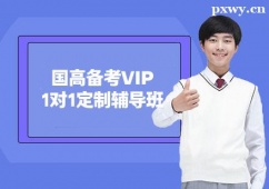杭州國(guó)高備考VIP1對(duì)1定制輔導(dǎo)班
