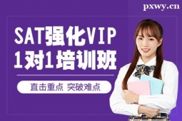 SAT(qing)VIP11Ӗ(xn)